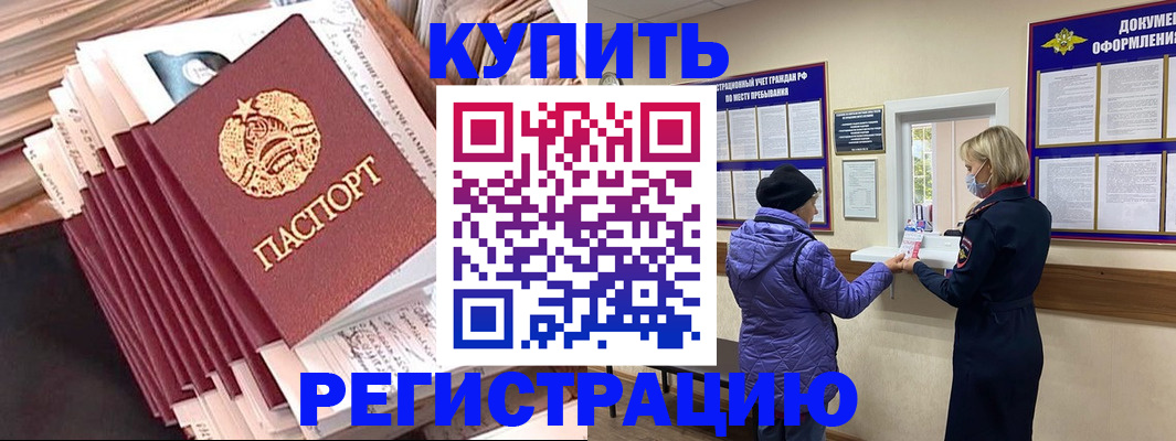 где прописаться в Светлогорске